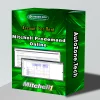 Mitchell Prodemand Online